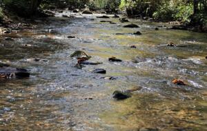 "A River Runs Through It" Chic Georgia Cabin - Cherry Log, Georgia
