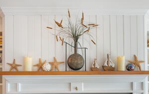 Baydream Believer - St. Michaels, Maryland