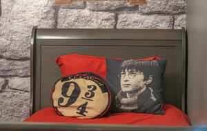 Harry Potter House + Star Wars Themed Vacation Paradise - Davenport, Florida