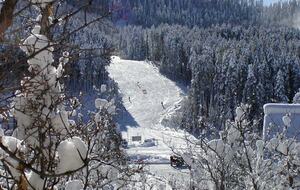 Edelweiss Chalet | Ski to Lift - Steamboat Springs, Colorado