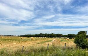 Villa San Lorenzo Umbrian Estate - Castiglione Del Lago, Italy