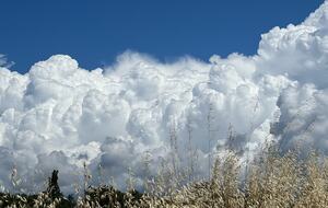 Villa San Lorenzo Umbrian Estate - Castiglione Del Lago, Italy