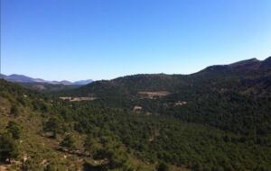 Collado Serrano - Puebla de Don Fadrique, Granada, Spain