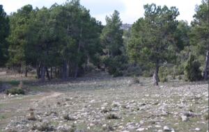 Collado Serrano - Puebla de Don Fadrique, Granada, Spain