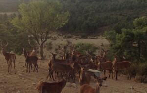 Collado Serrano - Puebla de Don Fadrique, Granada, Spain