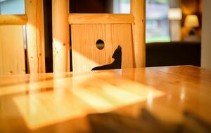 Paloma Place Perfect Getaway - South Lake Tahoe, California