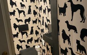 DOG HOUSE SECOND TOILET