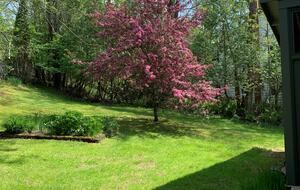 Gorgeous North Hatley Historic Retreat - North Hatley, Canada