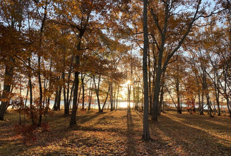 Entire Private Island + Lux Lakehouse with TWO Hot Tubs Luxury Home