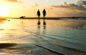 Asahi 2 Bedroom at Nobu Residences Los Cabos - Cabo San Lucas, Mexico