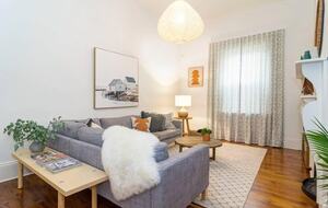 Blackbird - Adelaide, Australia