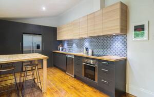 Blackbird - Adelaide, Australia