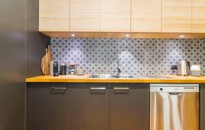 Blackbird - Adelaide, Australia