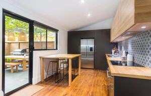 Blackbird - Adelaide, Australia