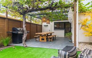 Blackbird - Adelaide, Australia