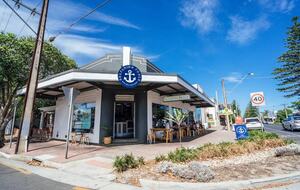 Blackbird - Adelaide, Australia