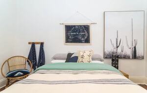 Blackbird - Adelaide, Australia