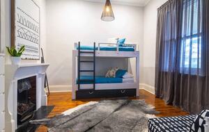 Blackbird - Adelaide, Australia