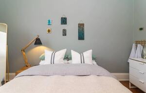 Blackbird - Adelaide, Australia