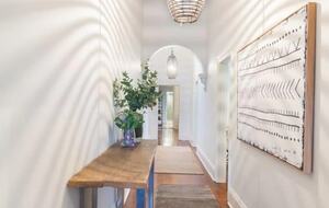 Blackbird - Adelaide, Australia