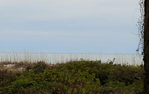 Ocean front Shorewood Villa, Hilton Head Island - Hilton Head, South Carolina