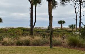 Ocean front Shorewood Villa, Hilton Head Island - Hilton Head, South Carolina