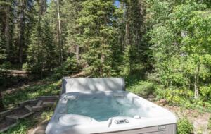 Copper Hollow Stunning Mountain Villa (Ski In/Ski Out) - Telluride, Colorado