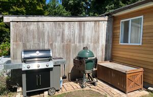 Gas and charcoal BBQ grills