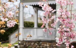 Gorgeous Victorian on the Connecticut Shoreline - Westbrook, Connecticut