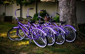 Gorgeous Victorian on the Connecticut Shoreline - Westbrook, Connecticut