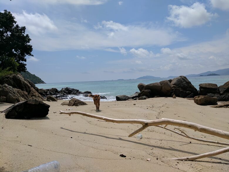 Windcatcher Villa with a Secluded Beach - Koh Lipe, Thailand