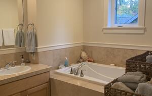 master bathroom - has a shower as well as a big soaking tub
