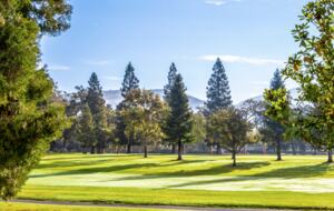 Silverado Golf Resort Condo in Napa - Napa, California