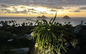 Sweeping Postcard Views of the Mokulua Islands - Kailua, Hawaii