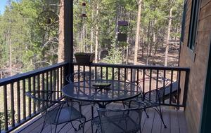 Exquisite Mountain Lodge with Stunning Views - Bailey, Colorado