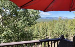 Exquisite Mountain Lodge with Stunning Views - Bailey, Colorado
