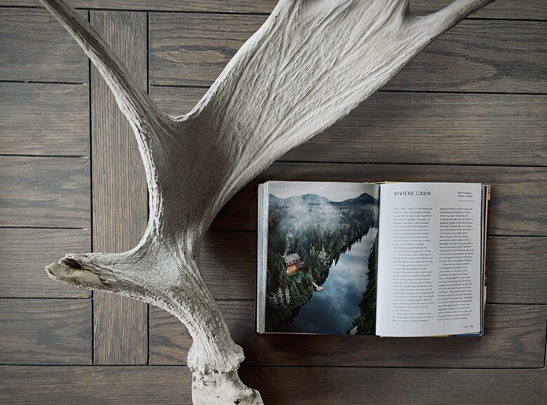 Waterfront Cabin Minutes to Mont Tremblant Ski Resort - Lac-Supérieur, Canada