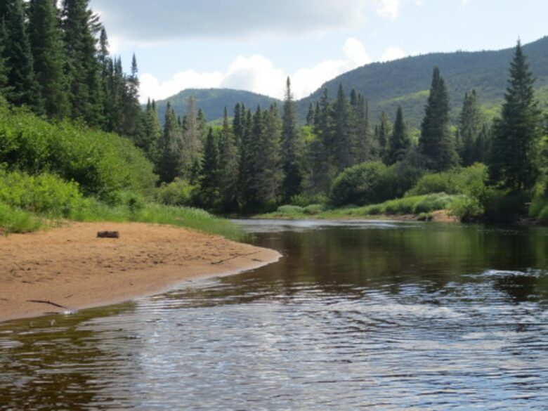 Waterfront Cabin Minutes to Mont Tremblant Ski Resort - Lac-Supérieur, Canada
