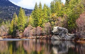 Goldfinch Lodge + Hot Tub - Idyllwild-Pine Cove, California