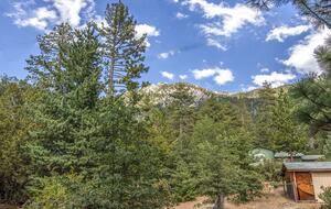 Goldfinch Lodge + Hot Tub - Idyllwild-Pine Cove, California