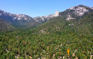 Goldfinch Lodge + Hot Tub - Idyllwild-Pine Cove, California