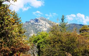 Goldfinch Lodge + Hot Tub - Idyllwild-Pine Cove, California