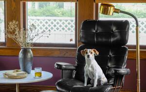 Cozy Chic Remodeled 1910 Farmhouse - Hudson, New York
