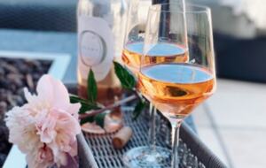 Idyllic Napa Valley Retreat - Calistoga, California