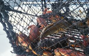 Kampedalen Estate (R) - Kristiansand, Norway