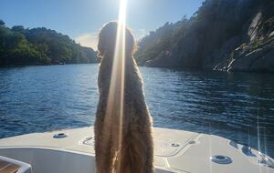 Kampedalen Estate (R) - Kristiansand, Norway