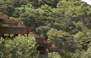 Moturua Private Island (R) - Bay of Islands, New Zealand