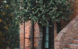 Borgo San Vincenzo | Imperial Suite - Montepulciano SI, Italy