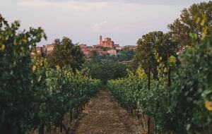 Borgo San Vincenzo | Imperial Suite - Montepulciano SI, Italy