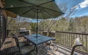 Falcon’s Nest Riverfront Mountain Retreat - Mccaysville, Georgia